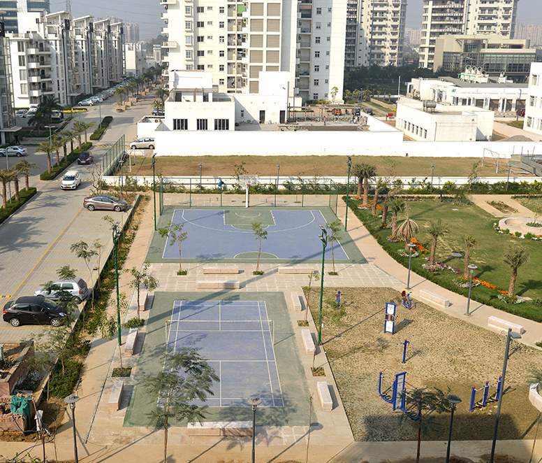 palm drive Tennis Court