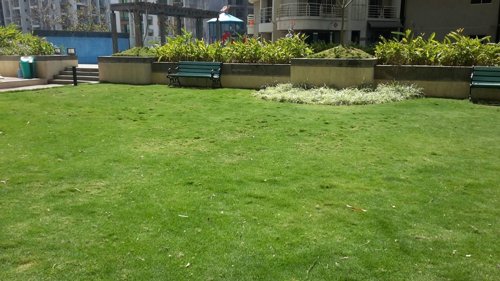  sai-pearls Landscaped Gardens