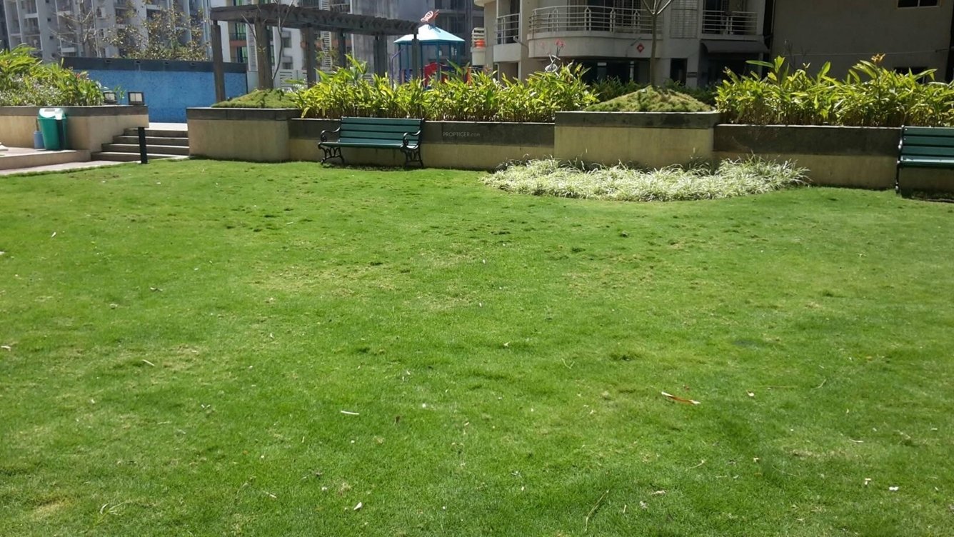  sai pearls Landscaped Gardens