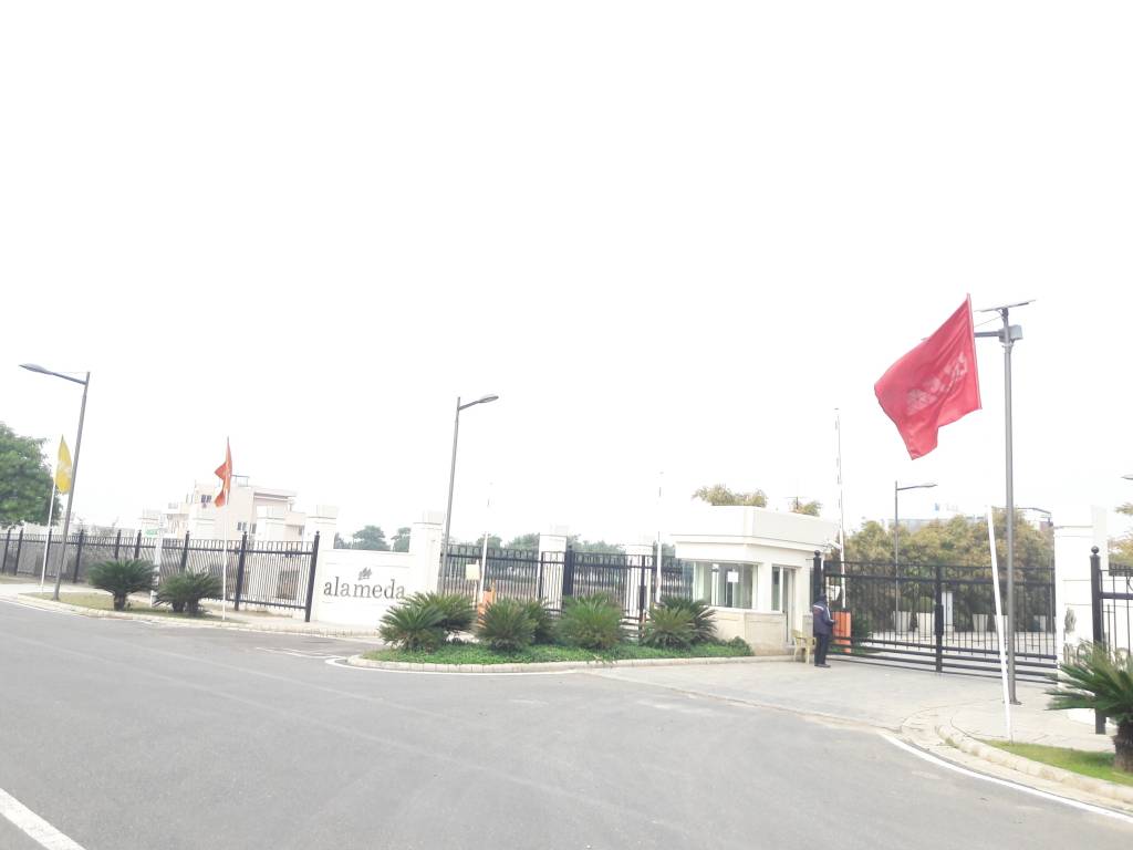 Images for mainOther