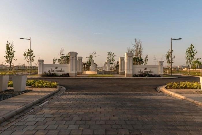 Images for mainOther