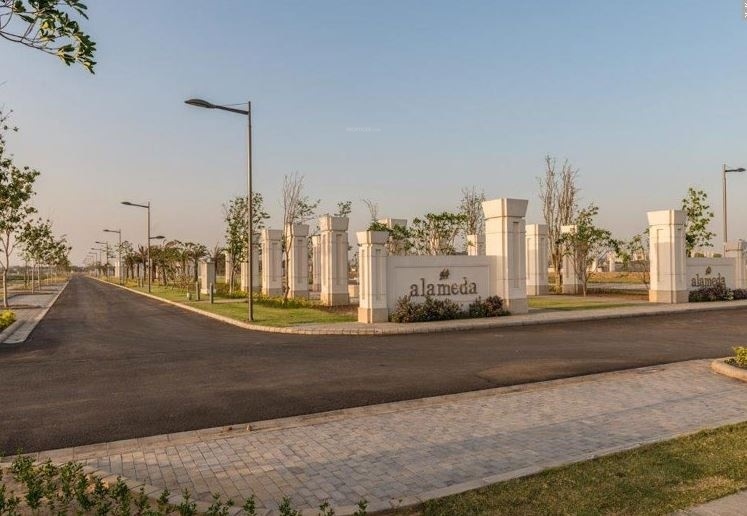 Images for mainOther