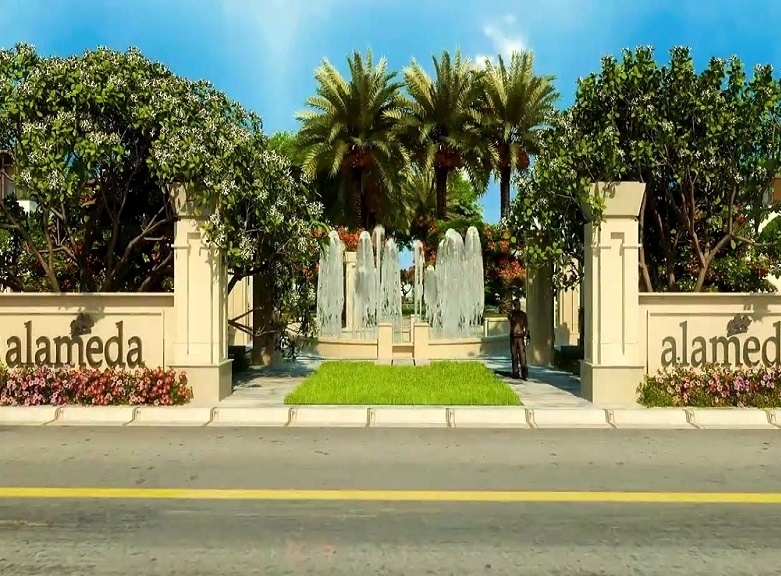 Images for mainOther