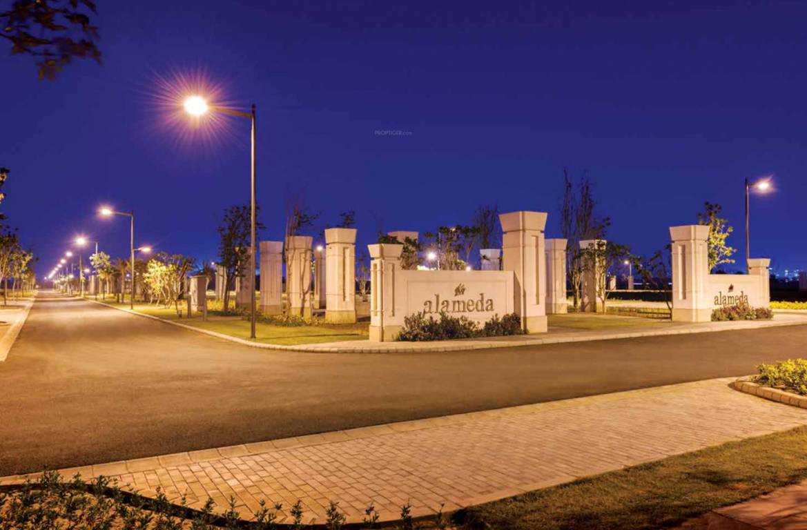 Images for Main Other of DLF Alameda