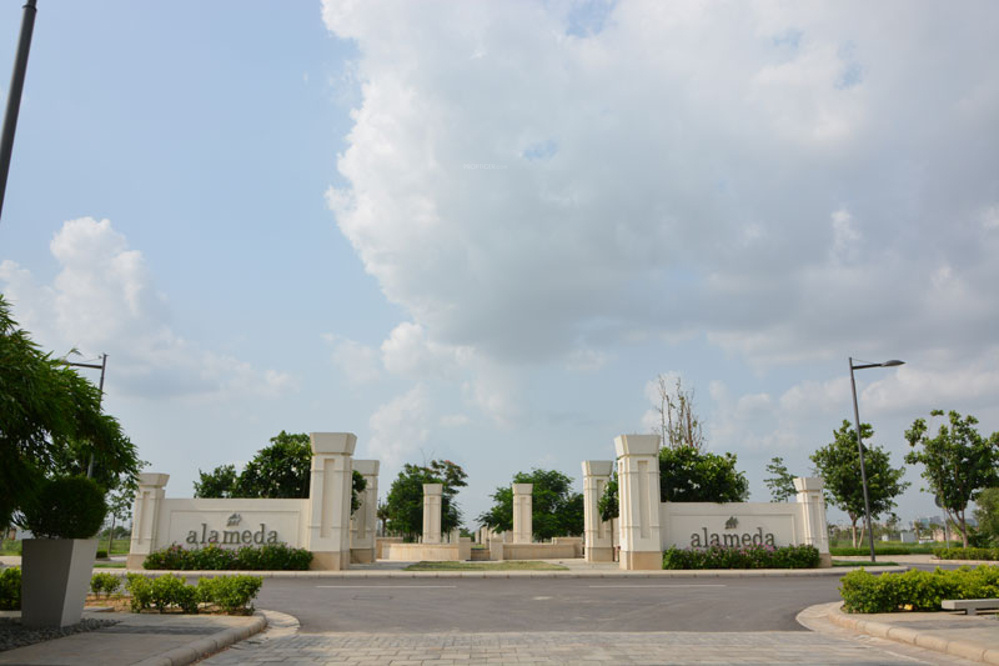 Images for Main Other of DLF Alameda