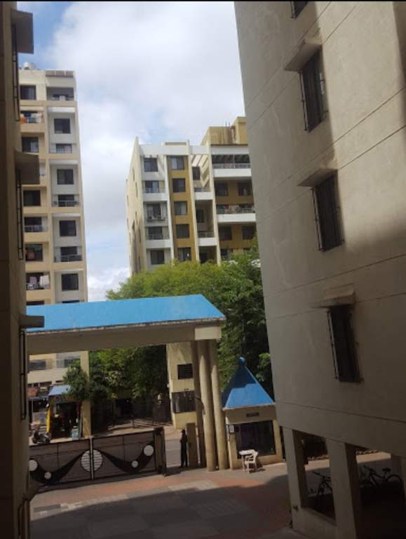  belrose Images for Project