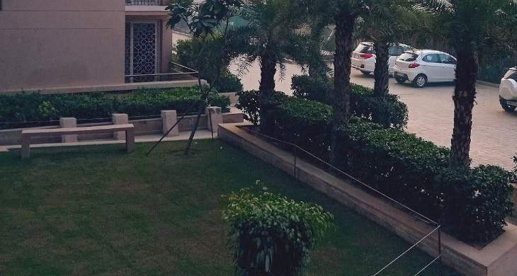 purple Landscape Garden and Tree Planting