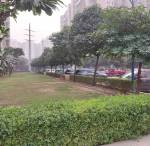  purple Landscaped Gardens