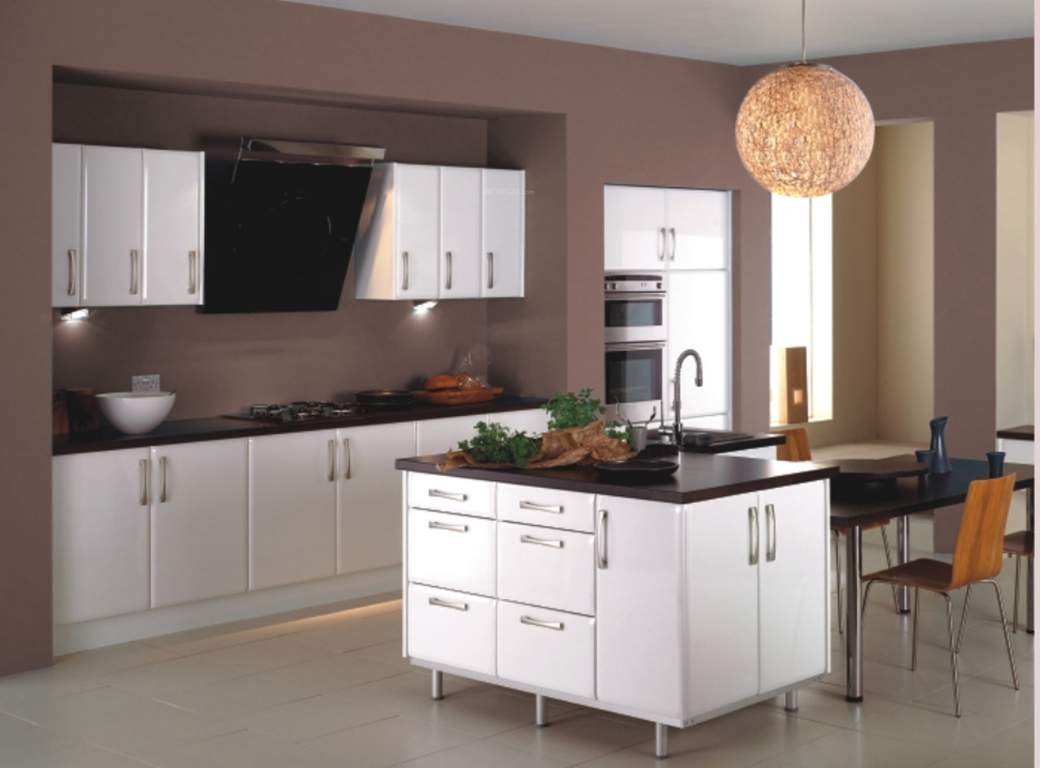 purple Images for Main Other of Tulip Purple