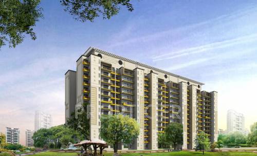 Images for Elevation of Tulip Tulip Ivory