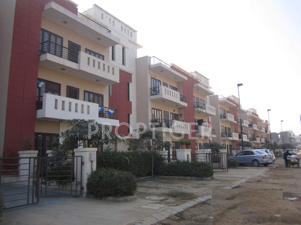  spring floors Images for Elevation of M2K Spring Floors