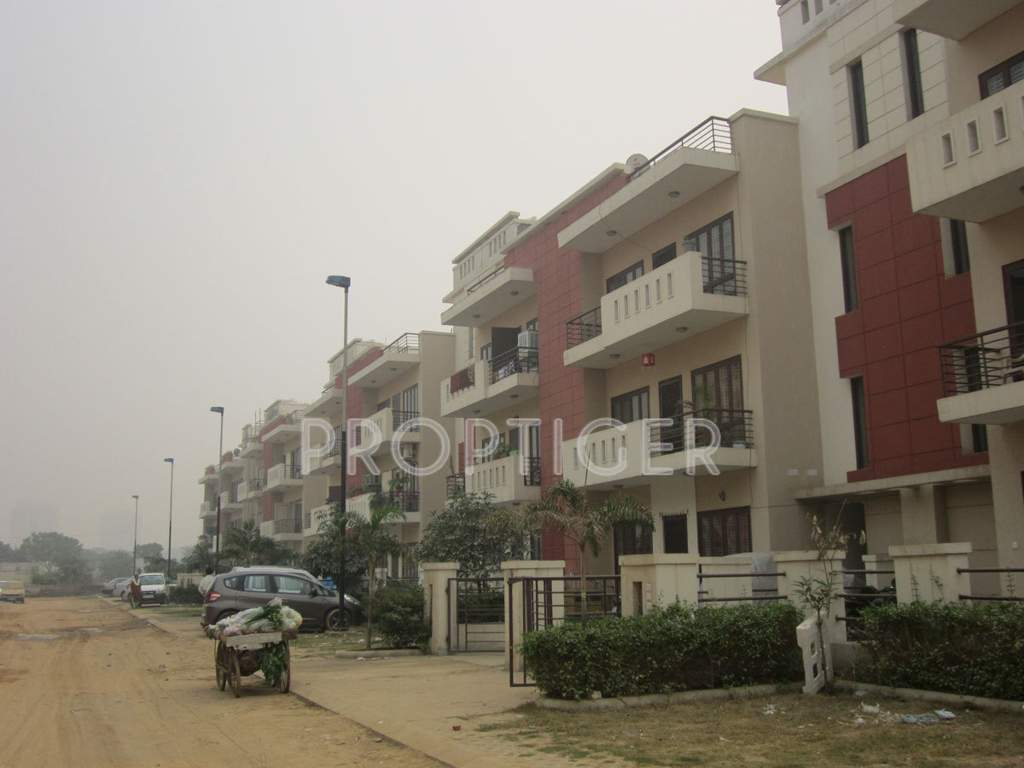  spring floors Images for Elevation of M2K Spring Floors