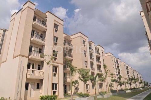 Images for Construction Status of Sare Royal Greens