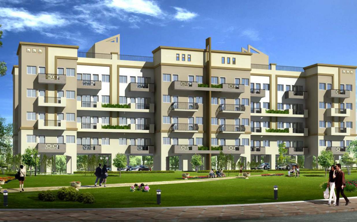 royal greens Images for Project