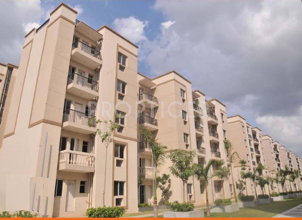 Images for Elevation of Sare Royal Greens