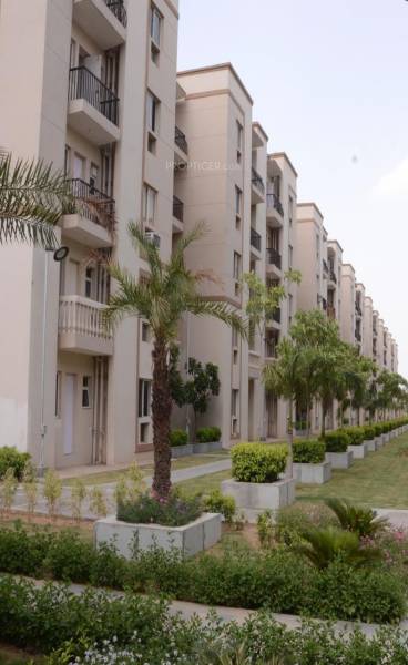 Images for Elevation of Sare Royal Greens