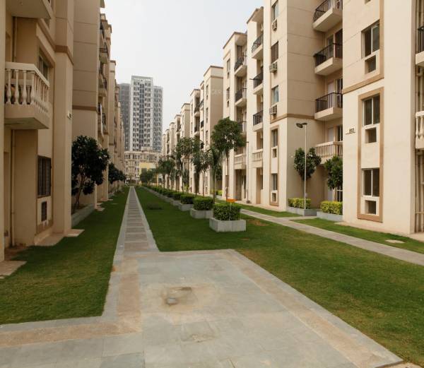 Images for Elevation of Sare Royal Greens