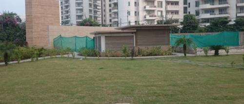  ourania Landscape Garden and Tree Planting