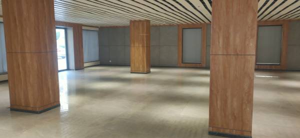  windsor-court Others