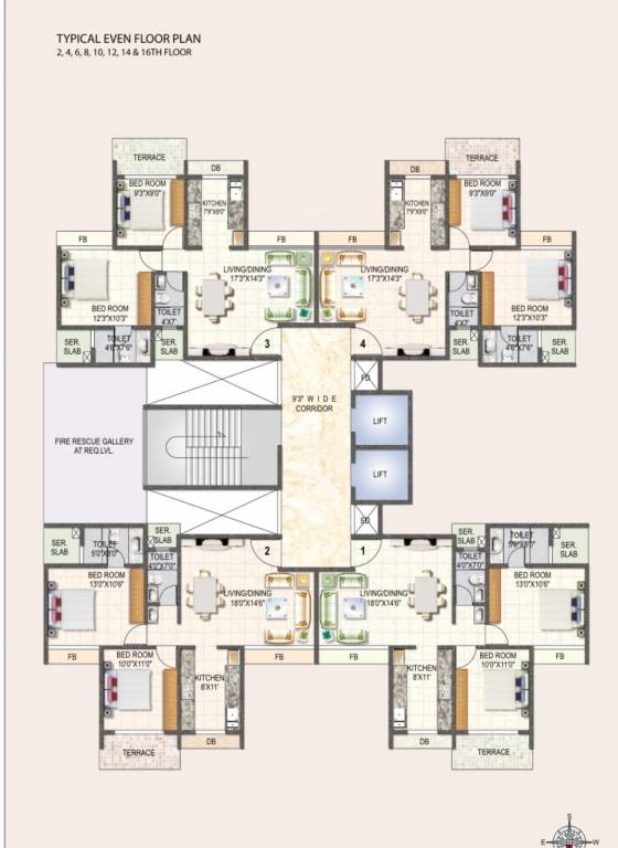  daffodils Daffodils Cluster Plan