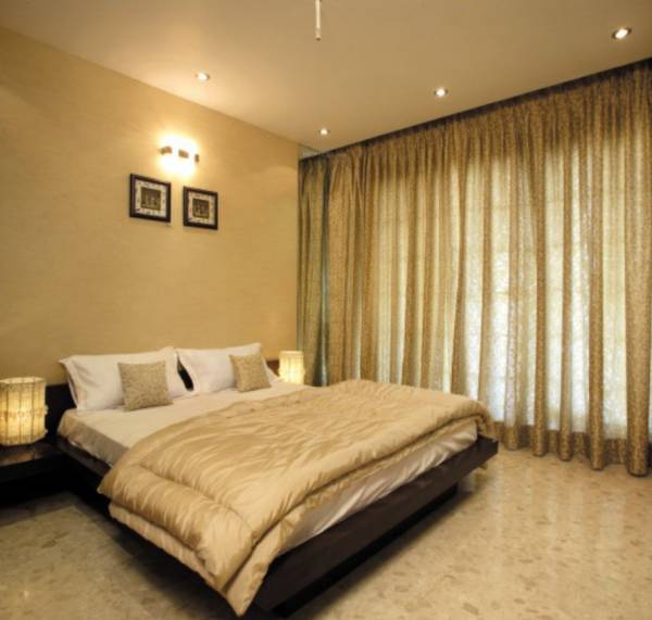 Images for Main Other of Swaraj Daffodils Images for Main Other of Swaraj Daffodils