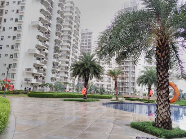 Elevation premier-terraces Elevation