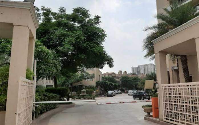  the palm springs Elevation