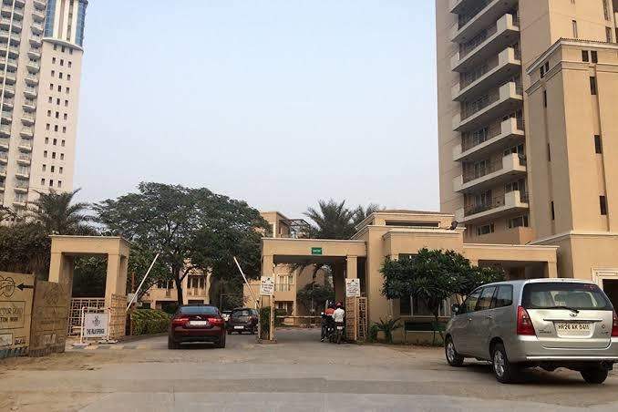  the palm springs Elevation