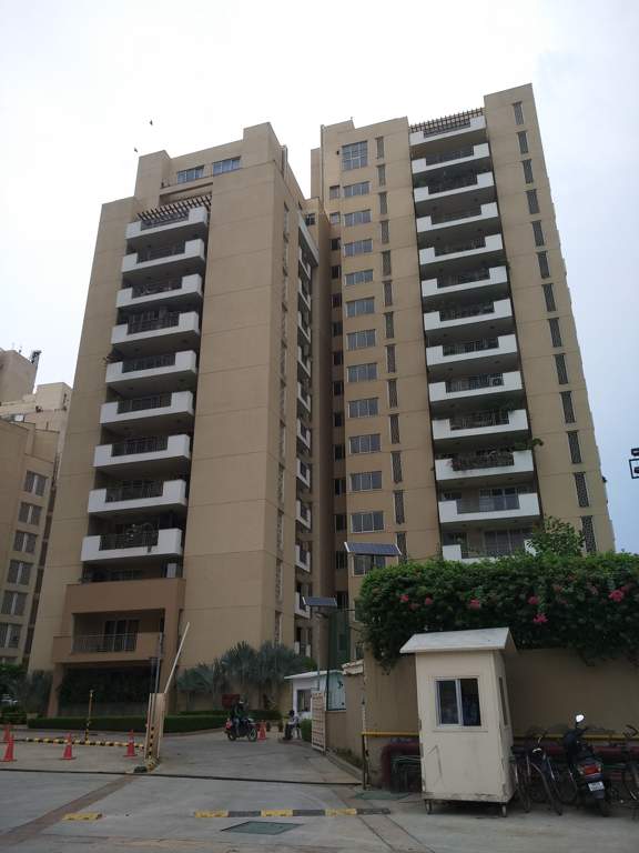  the palm springs Images for Project