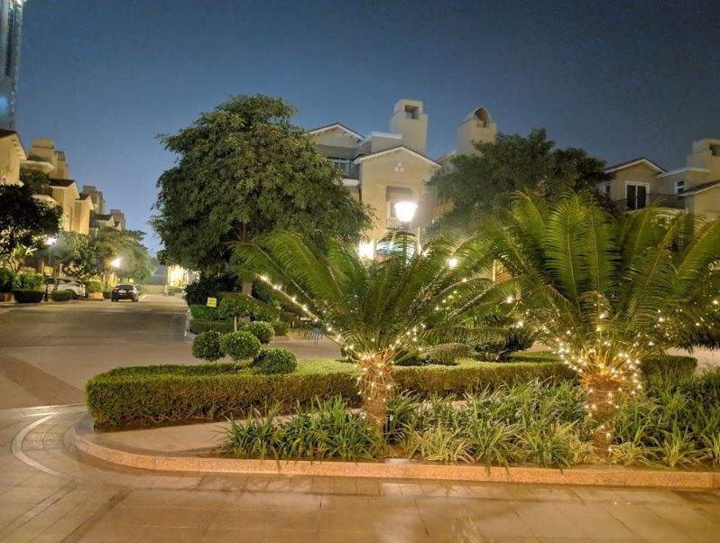 Emaar The Palm Springs