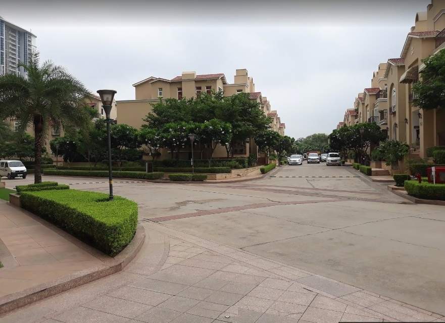  the palm springs Others