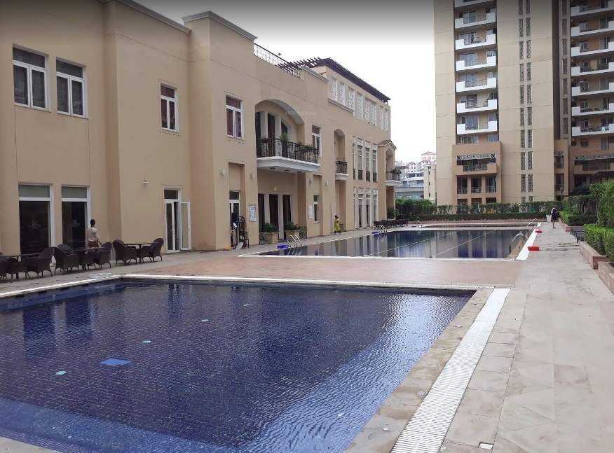  the palm springs Swimming Pool