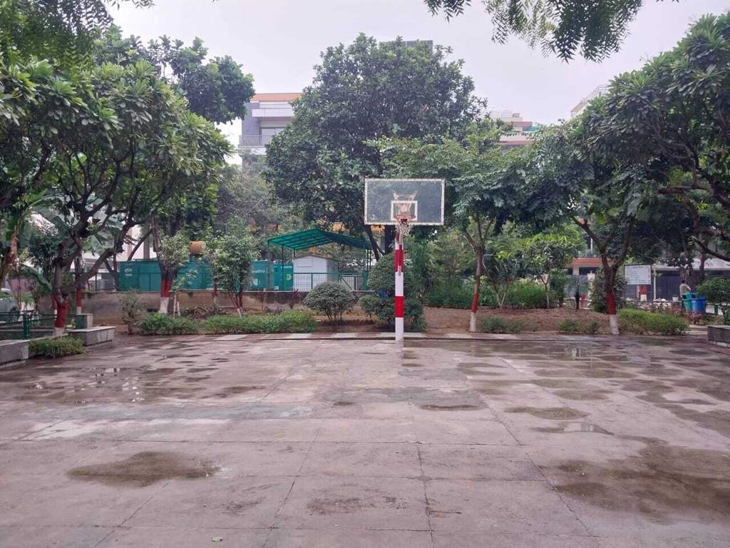 world plots Basketball Court
