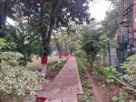  world-plots Jogging Track