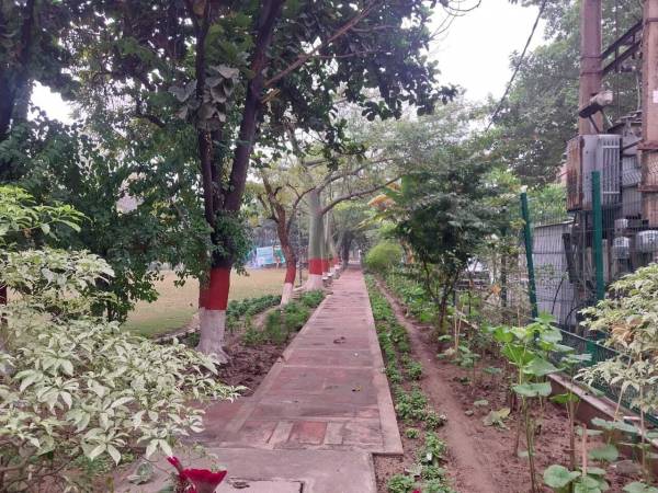  world-plots Jogging Track