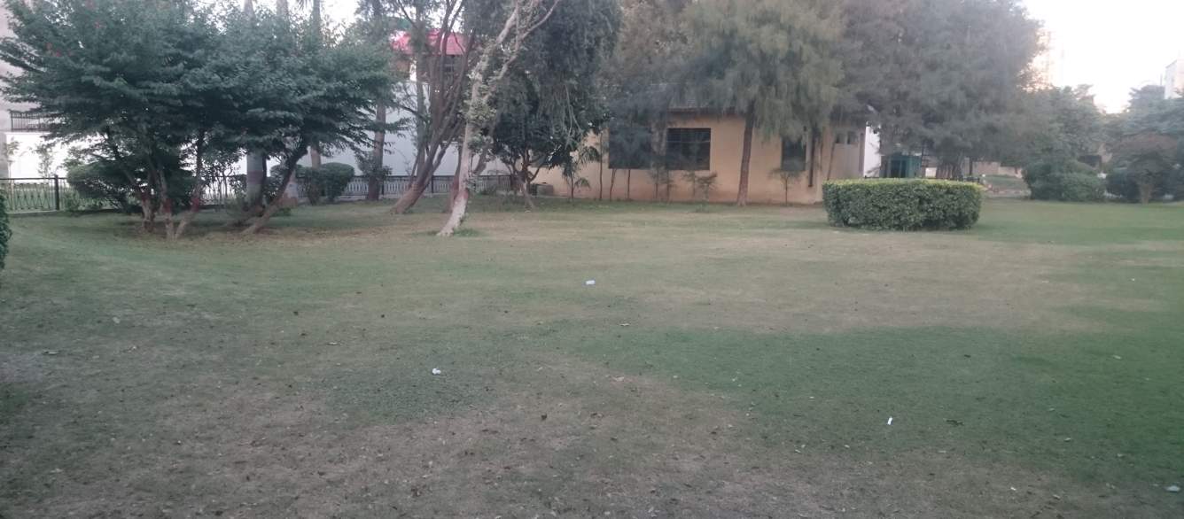 rosewood villas Landscape Garden and Tree Planting