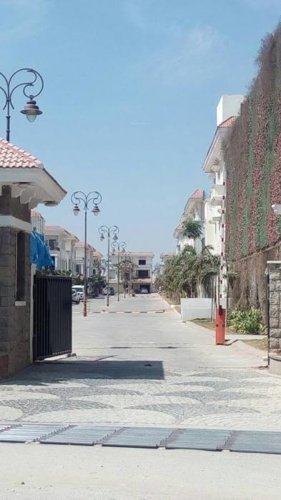  cyber-meadows-society Others