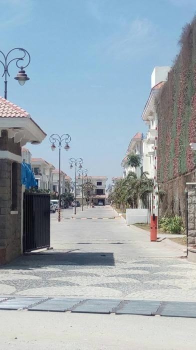  cyber meadows society Others