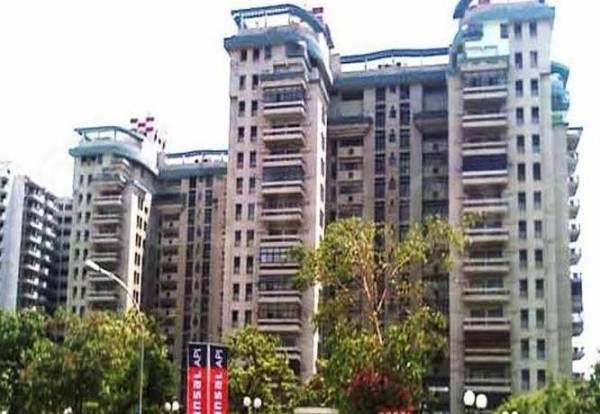  celebrity-star Elevation