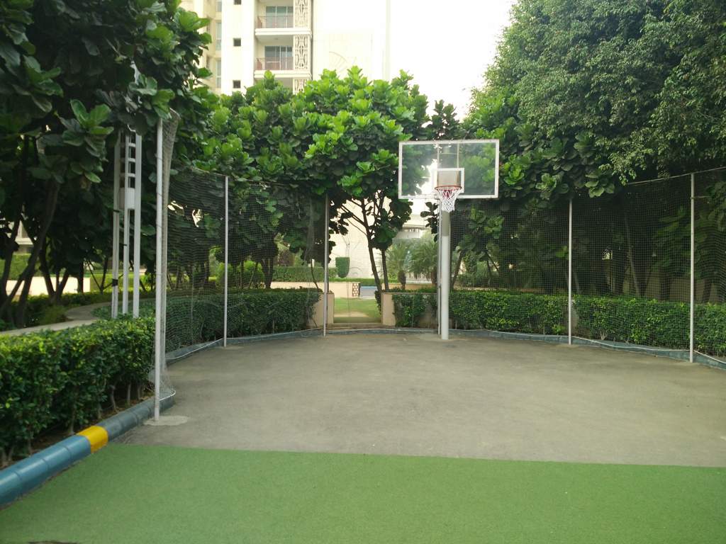  the summit Basketball Court