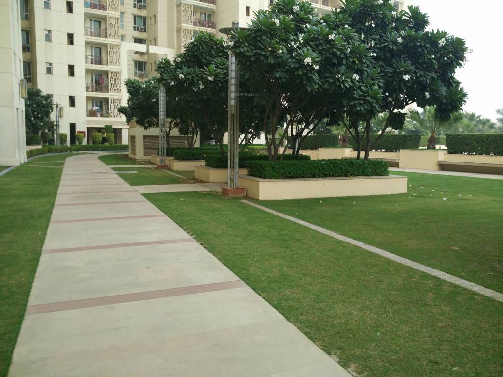  the summit Jogging Track