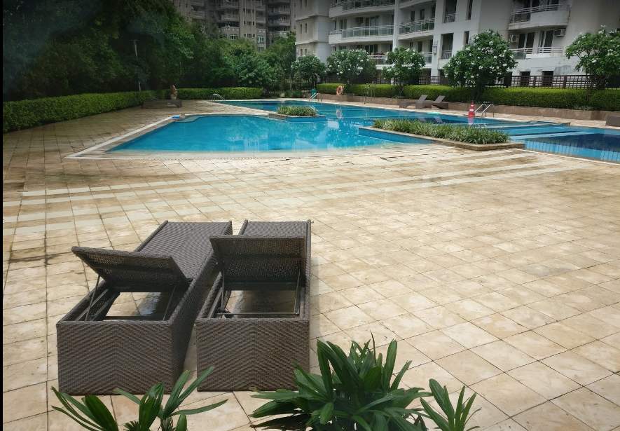  the icon Swimming Pool