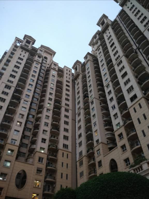 hamilton court Elevation