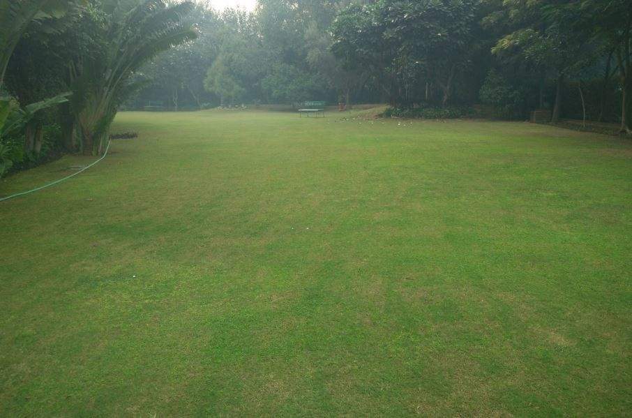  windsor court Landscaped Gardens