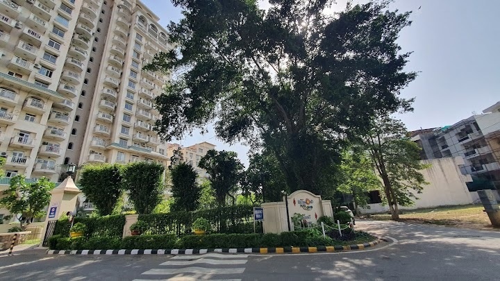 richmond park Elevation