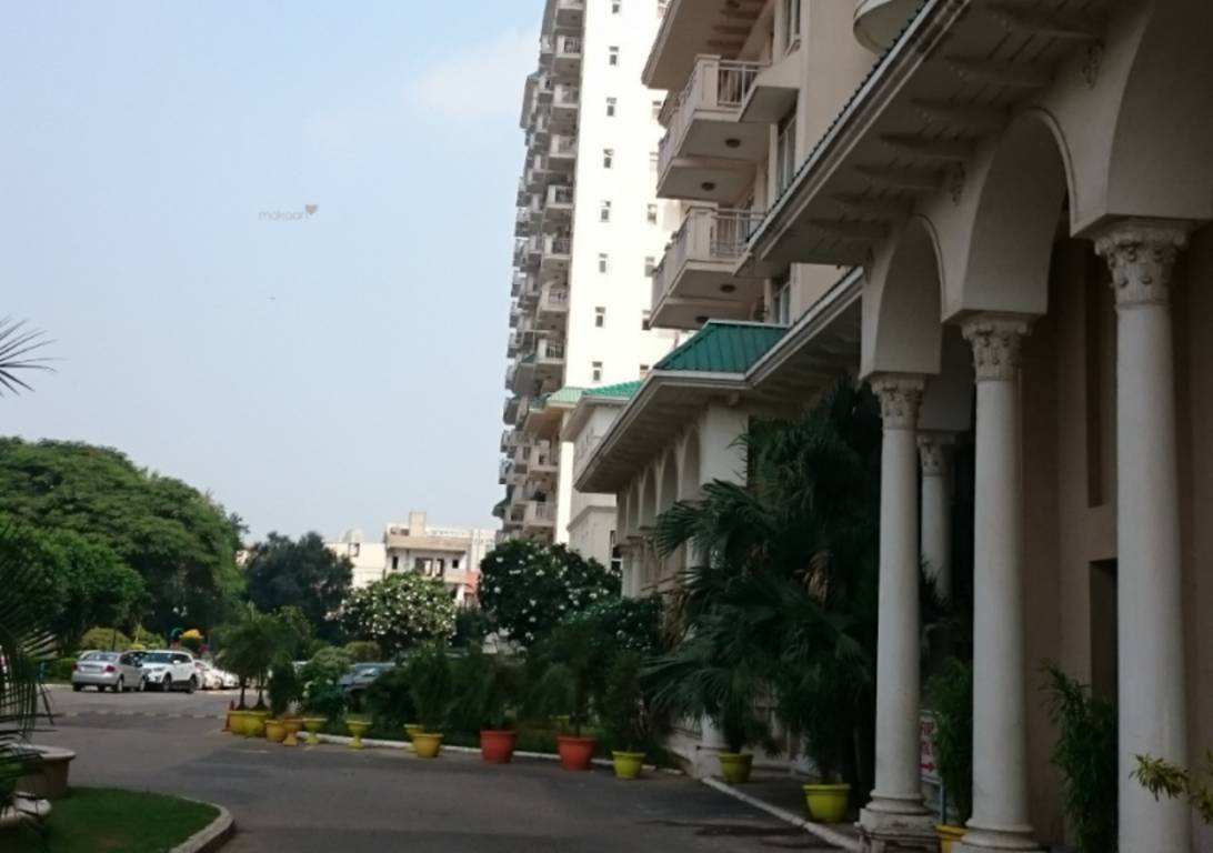 Images for Elevation of DLF Richmond Park