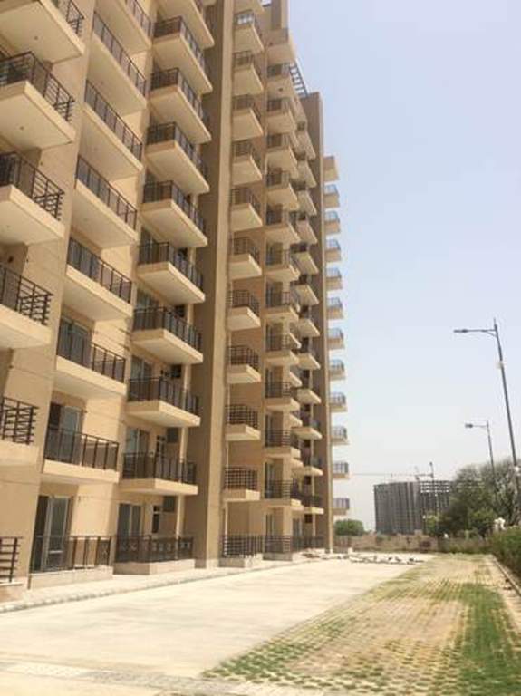  the hermitage Images for Elevation of Satya The Hermitage