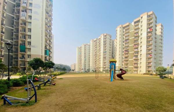  flora Children's play area