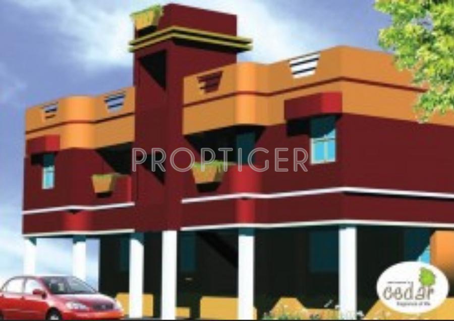 Antony Associates Cedar