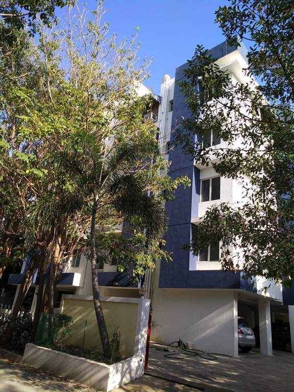  fern brook Elevation